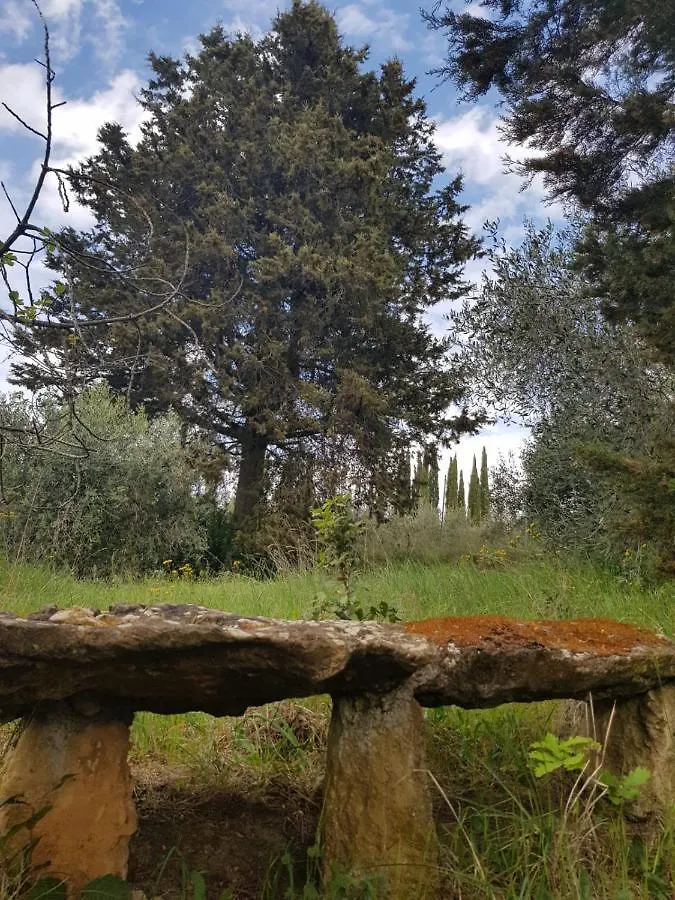 Il Montedoro Villa Guardistallo