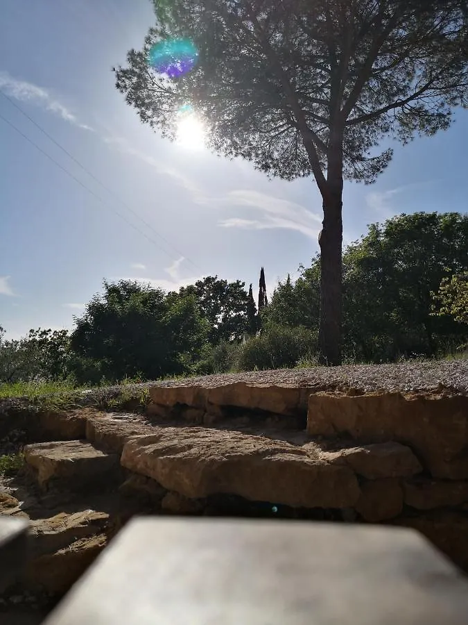 Il Montedoro Villa Guardistallo