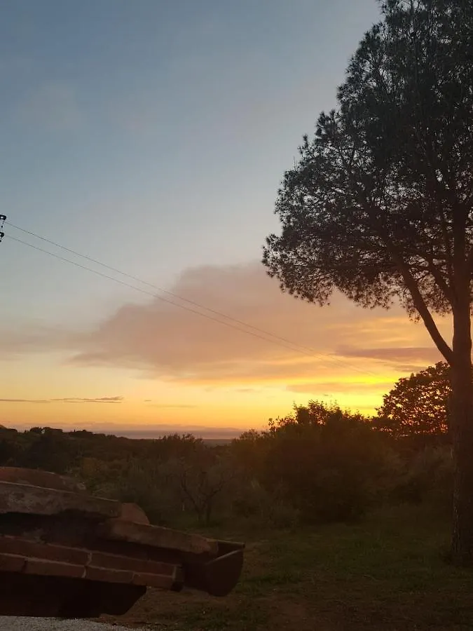 Il Montedoro Villa Guardistallo Italy